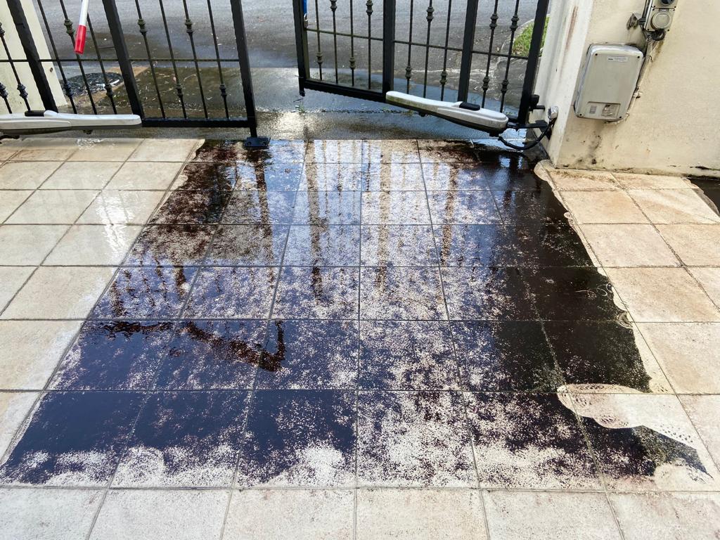 Disinfection services