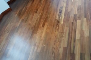 01d7cead-d152-4eaa-9d0d-e47da6954415