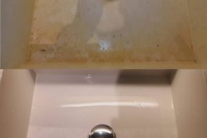 1191f659-f4e8-4986-9af4-77f8afd7c923