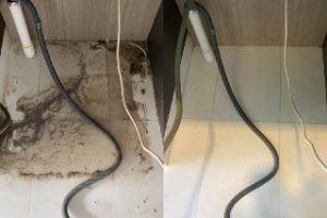 2ae579fc-f532-4725-a1a8-810903685fea