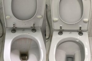 35372502_206043163543397_5209987594259005440_n