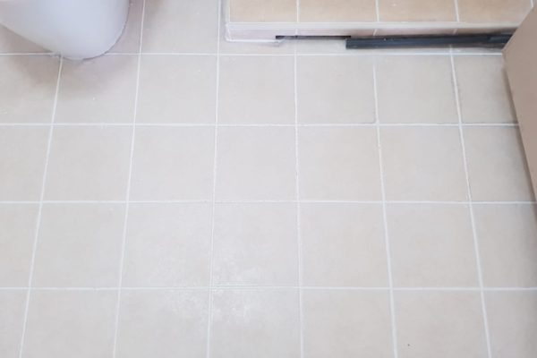 36bf0a45-016d-48f4-86da-4e196277c5f9