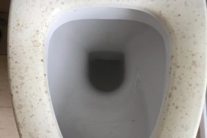 3d32f295-6088-41dd-9199-33329a8906f3