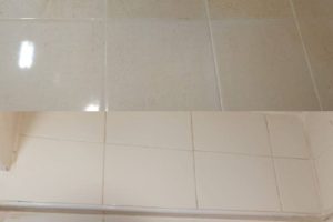 3fe8a054-4919-4250-9e41-3d1652c77b66