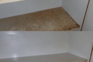 40e6161c-df0f-4491-88d1-541c4d4b452f