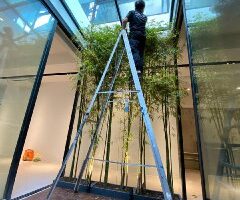 54b0a432-36f1-45a7-bc93-e11e47cfe1c8