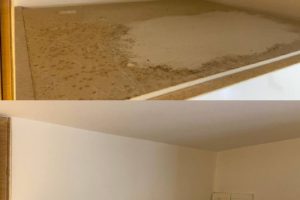 57b30044-4c62-488f-a18c-776b145e74eb