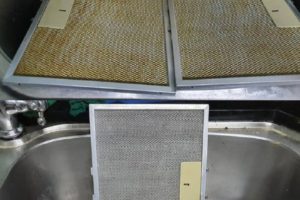 675d2323-bf8b-492f-a6ea-f5fb6c97ea49