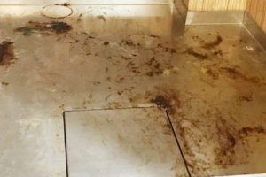 737f491b-c394-4e1f-bc7f-ae0d003fdcef