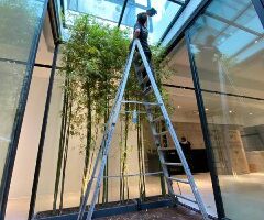 7e6d297d-5801-4894-afe0-939410179c21