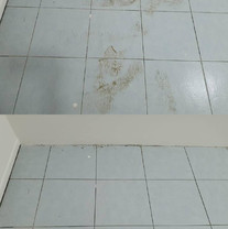 8172a9_2fd47fc8f44941e892e4605d2dcf0f7b_mv2