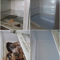 8172a9_dbf81517f5c14574ae9fb6e3e47065cb_mv2