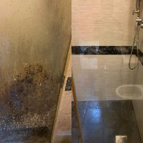 8172a9_e0bbb91bc4cb461984aef39a78871cea_mv2