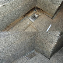 8172a9_e9ef291346c0412eb2c219550025d7f6_mv2