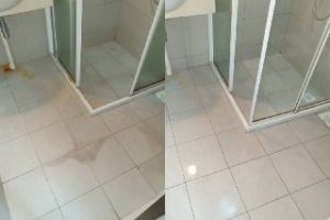 872d66ef-0a51-4a8a-9ab2-f97ef362cef7