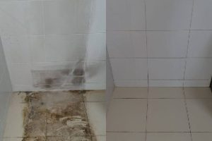 8c78d437-dacb-4d80-812e-2f56f71db975