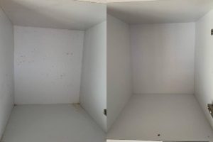 8f699418-fbef-4ed1-a5be-bfc272ff4f84