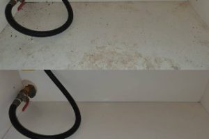 93655786-375f-4579-9047-58ccbca31350