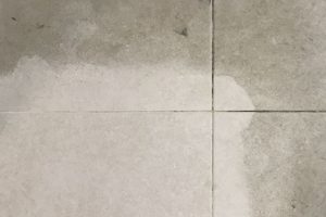 WhatsApp Image 2018-05-28 at 12.10.05 AM