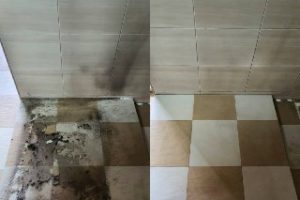 a0eb1740-709f-4a8c-89c7-37b073805faf