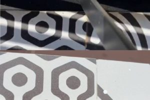 aa2e025a-abd4-4d41-b41c-aa63d85e2d89