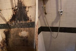 c1a5fe40-40f5-4f50-bbf3-41d50ecaecd0