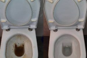 e1670d24-90b2-4614-904f-d7bfeeeeb368