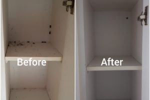 e9ea508a-5199-4bd6-8493-c23a67043f61