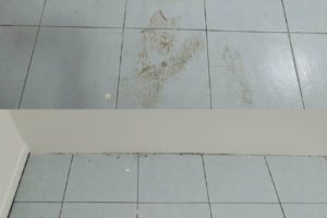 fa1a926b-36ab-4f17-9cbd-963bd49eb412