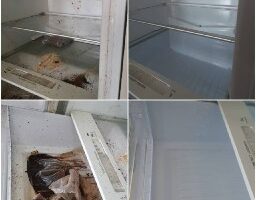 feb8387d-a48c-4959-a817-f6cfe6a2df43