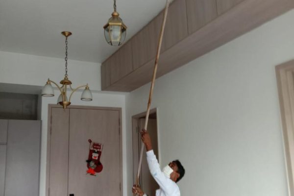 54551b2d-3654-4234-b26f-a82660101dc5