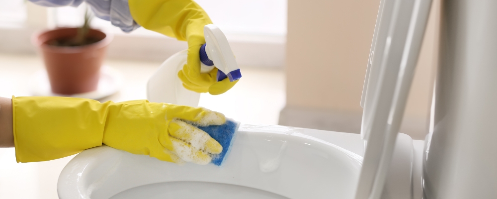 Toilet Cleaning: Why Is It So Important