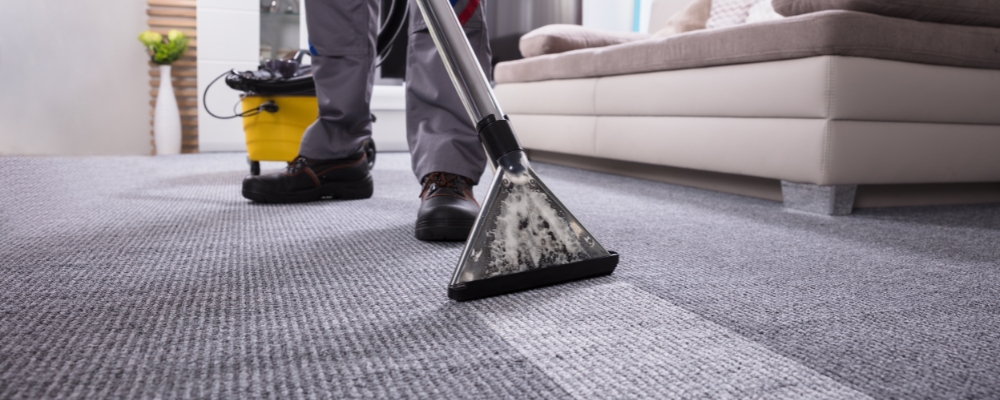 Should I Hire a Professional for Carpet Cleaning?